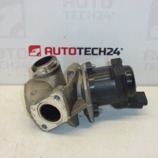 Novo EGR1.6 HDI Citroën Peugeot 9685640480 1618NR