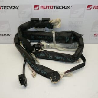 Teto esquerdo AIRBAG Peugeot 206 5DV 8329ST